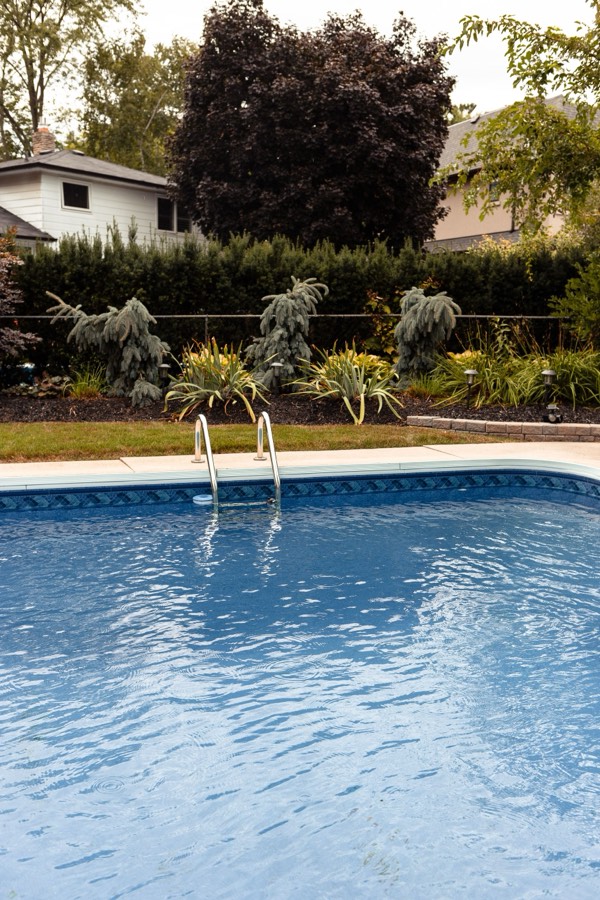 Swimming pool surrounded by garden greenery